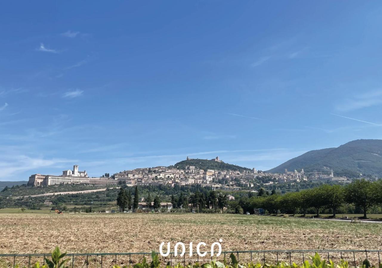 Unica Assisi Agri-Charming House Bed and Breakfast Exteriör bild